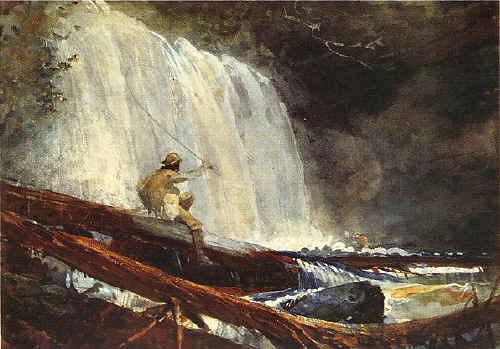Winslow Homer Waterfalls in the Adirondacks oil painting picture